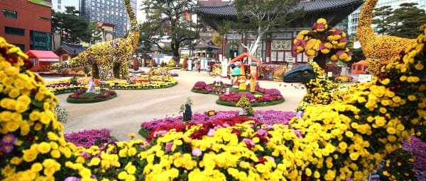 4-Hour Seoul History and Culture Tour with Palace and Temple