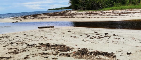 3-Day Puerto Viejo Tour with Bribri Culture and Cahuita Park