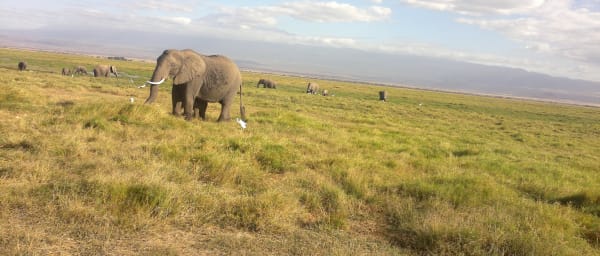 11-Day Kenya Safari Adventure with Masai Mara and Samburu