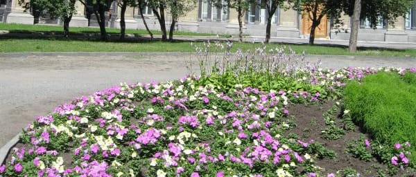 3-Hour Walking Tour of Novosibirsk with St. Alexander Nevsky Relics