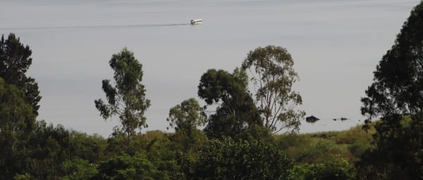 6-Day Historic Ethiopia Tour from Addis Ababa with Lake Tana and Lalibela