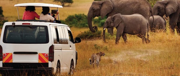 7-Day Kenya Wildlife Safari through Maasai Mara, Samburu and Sweet Waters