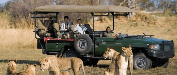 8-Hour Chobe Safari Day Trip from Victoria Falls with River Cruise