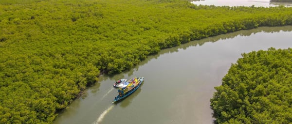 8-Hour Gambia River Cruise with Traditional Pirogue and Lunch