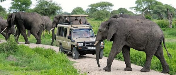 7-Day Northern Tanzania Safari with Lake Natron and Great Migration