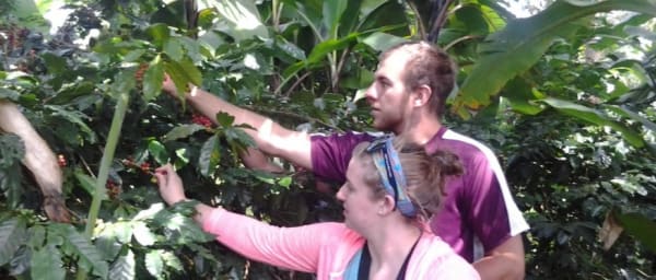 Full-Day Materuni Coffee and Waterfall Tour with Chagga Culture