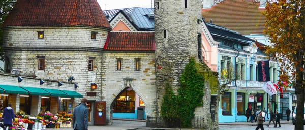5-Hour Tallinn Walking Tour through Old Town, Kalamaja and Telliskivi