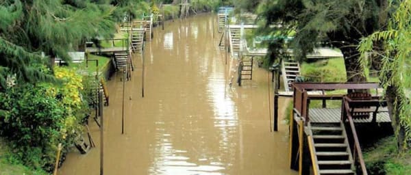 4-Hour Tigre Delta Tour from Buenos Aires with 45-Minute Cruise