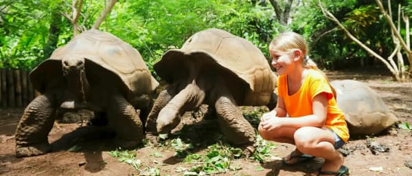 6-Hour Nosy Be Island Tour with Lemurs and Nosy Tanikely Snorkelling