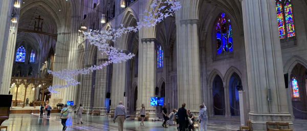 2-Hour Washington National Cathedral Tour with Tower Views