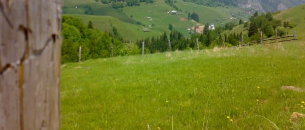 6-Day Central Romania Tour with Brașov Hikes and Bear Sanctuary