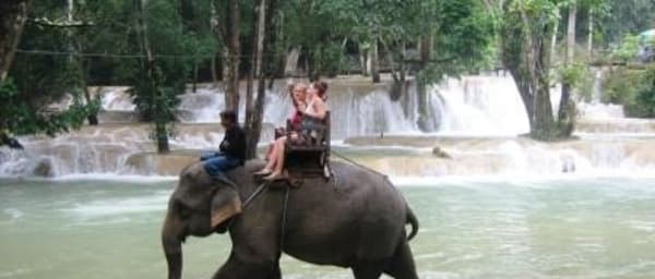 1-Day Elephant Ride and Luang Prabang City Tour with Mount Phou Si
