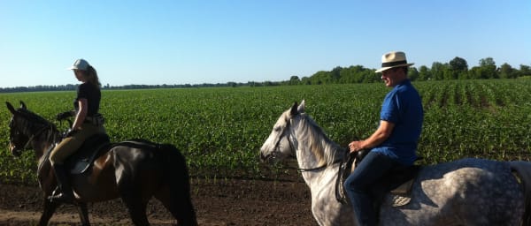4-Hour Horseback Riding Tour in Kiev with Beginner-Friendly Instruction