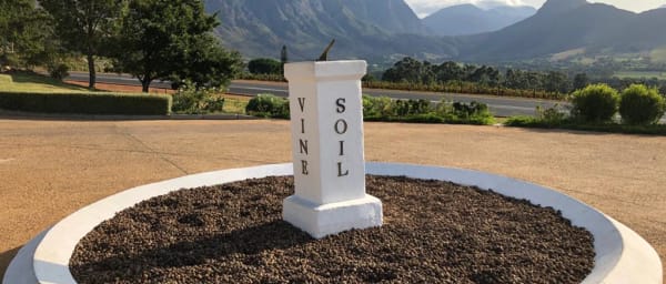 8-Hour Cape Winelands Wine Tour with 3 Estate Tastings and Lunch