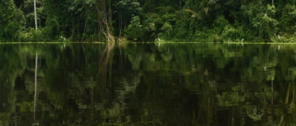 4-Day Pacaya Samiria National Reserve Tour from Iquitos