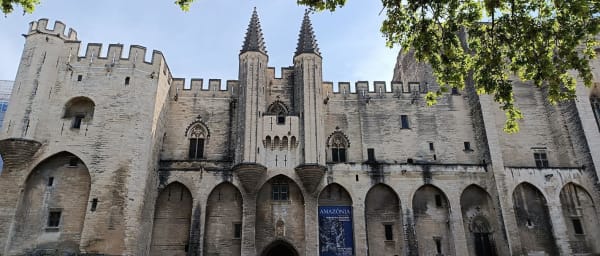 8-Hour Private Avignon and Pont du Gard Tour from Aix-en-Provence