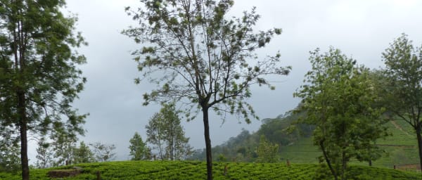 3-Day Knuckles Mountain Range Trek from Kandy with Village Trails