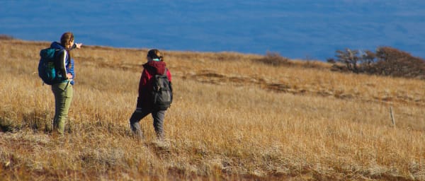 6-Hour Patagonian Forest Hike in Punta Arenas with Wine Tasting