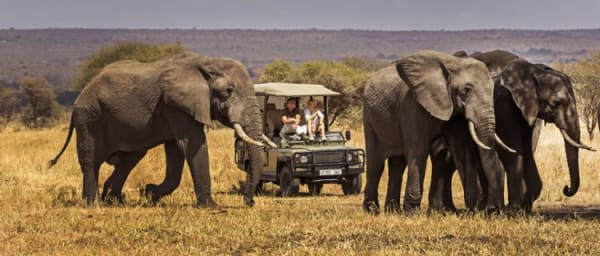 2-Day Tarangire and Ngorongoro Safari with Big Five Game Drives