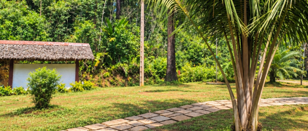 3-Day Andasibe Rainforest Tour with Mantadia and Vakôna