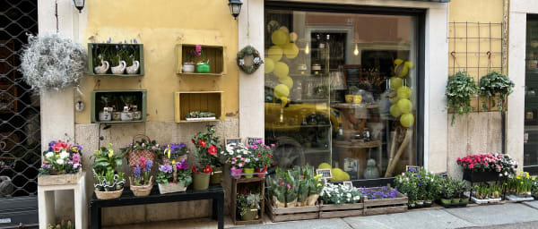 2-Hour Verona Walking Tour with Arena Entry and Juliet Landmarks