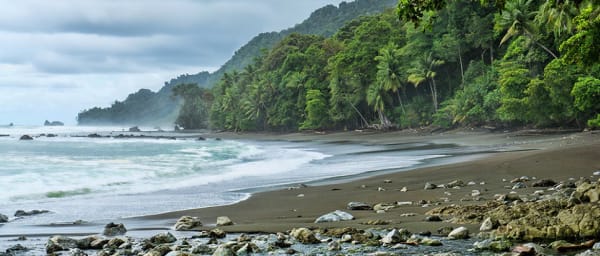 Full-Day Corcovado National Park Tour with Boat Ride and Wildlife