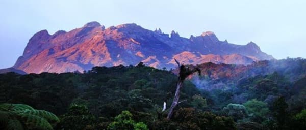 10-Hour Kinabalu Park and Poring Hot Springs Tour with Canopy Walk