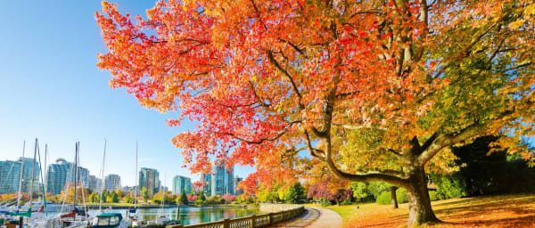 2-Hour Vancouver Walking Tour with Gastown and Stanley Park
