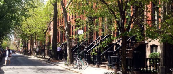 4-Hour Walking Tour of Hidden New York with Greenwich Village