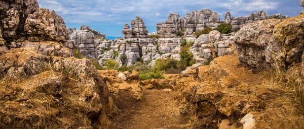 7-Day Andalusia Nature and Wine Tour with Doñana and White Villages