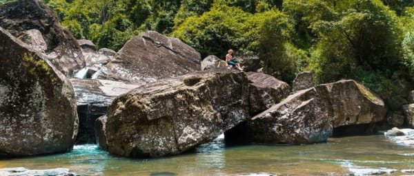 4-Day Kandy and Nuwara Eliya Tour with Pinnawala Elephant Visit