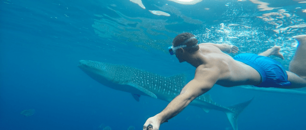 10-Hour Oslob Snorkeling Tour with Whale Sharks and Tumalog Falls