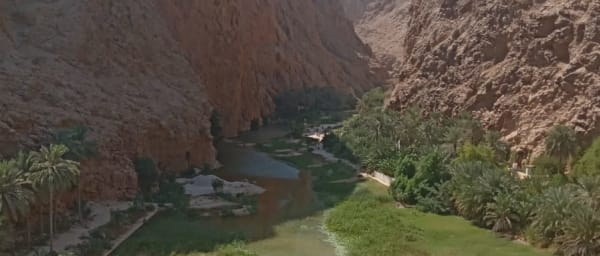 Circuit culturel et naturel de 8 jours à Oman avec désert et tortues