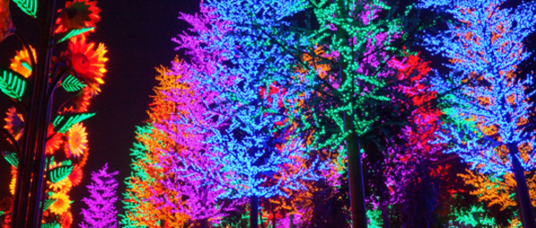 4-Hour I-City Theme Park Trip from Kuala Lumpur with LED Nightscape