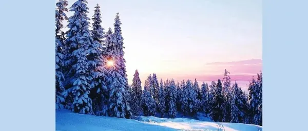 10-Hour Private Vancouver Tour to Grouse Mountain and Capilano Bridge