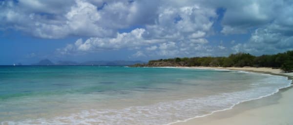 5-Hour South Martinique Shopping and Rum Tour with Beach Break
