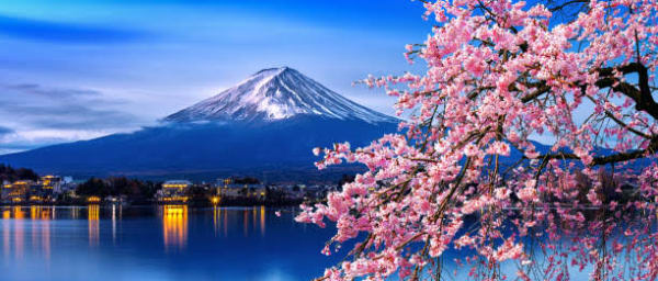 10-Hour Mt Fuji Charter Tour from Tokyo with Fuji Five Lakes