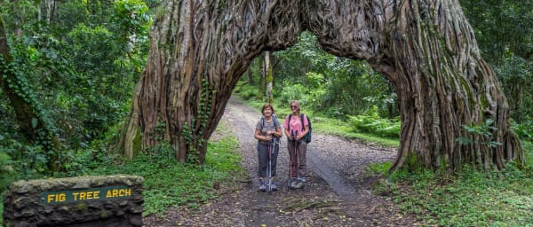 Full-Day Arusha National Park Safari with Walking Experience