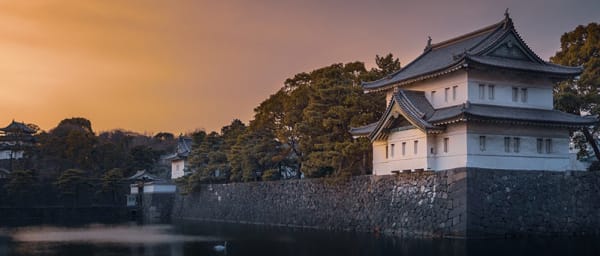 4-Hour Tokyo Walking Tour with Meiji Shrine, Harajuku and Shibuya