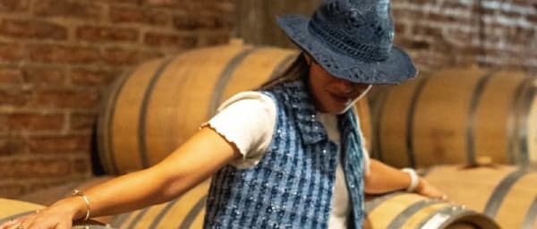 8-Hour Maipo Valley Wine Tour from Santiago with Two Vineyard Tastings