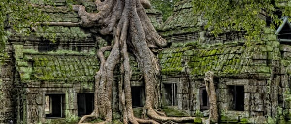 1-Day Angkor Wat Temple Tour in Siem Reap with Sunrise