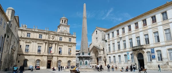 8-Hour Arles and Camargue Tour with Van Gogh and Flamingos