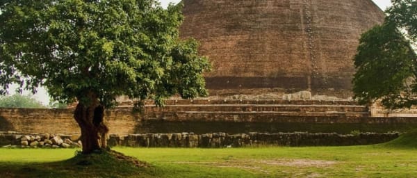 14-Day Sri Lanka Highlights Tour with Heritage Sites and Yala Safari