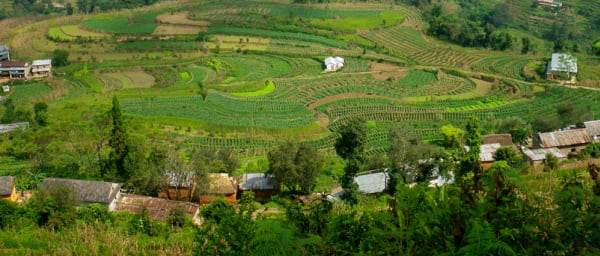 1-Day Champa Devi Hiking Tour from Kathmandu with Himalayan Views