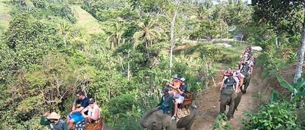 Full-Day Bali Elephant Ride Tour with Ayung River Views and Lunch