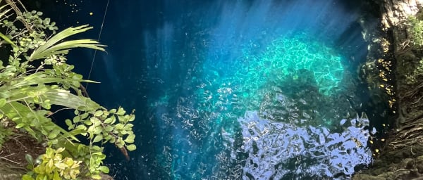 8-Hour Cenotes Tour in Yucatán with Swimming and Local Lunch