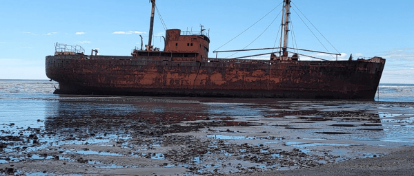 11-Hour Cabo San Pablo Tour from Ushuaia with Desdemona Shipwreck