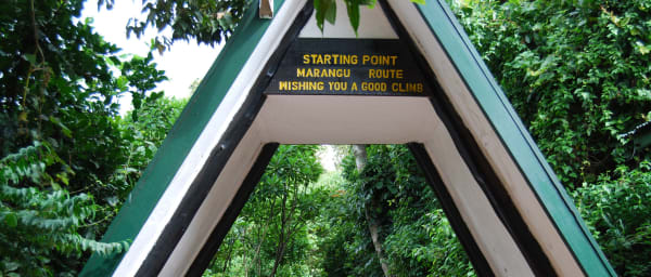 1-Day Mount Kilimanjaro Hike to Mandara Hut via the Marangu Route