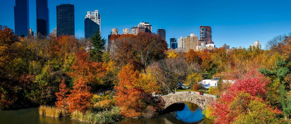 2-Hour Central Park Walking Tour in New York with Hidden Stories
