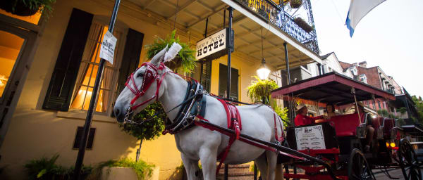 1-Hour French Quarter Carriage Tour in New Orleans from Jackson Square